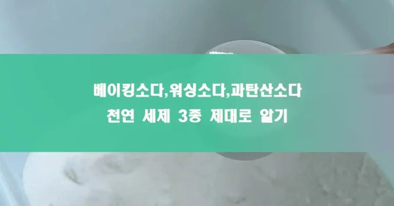 워싱소다 한스푼