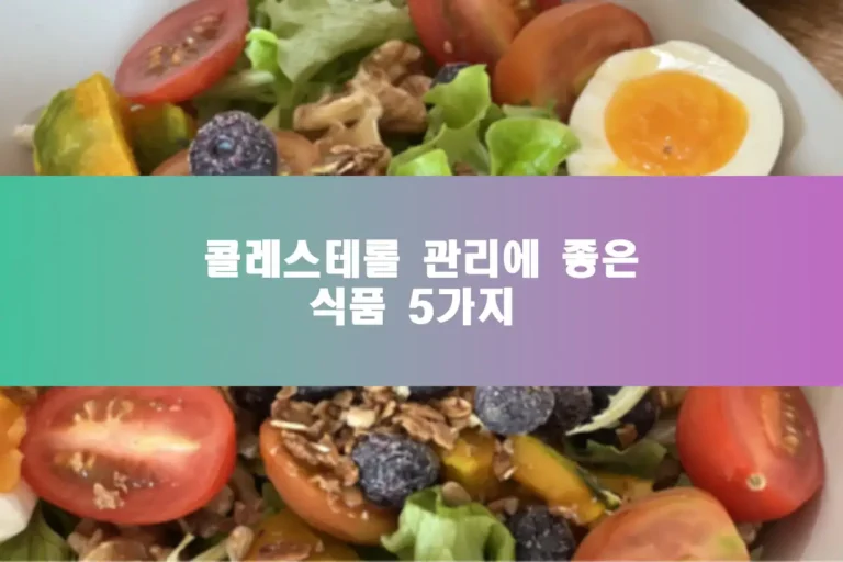 신선한 샐러드