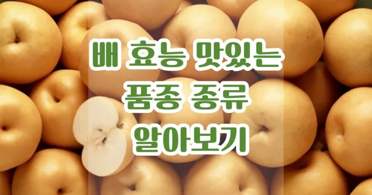 배 효능 맛있는 품종 종류 알아보기